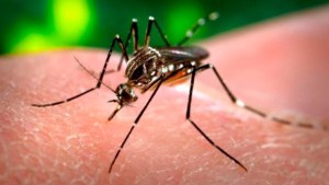 Confirman dos casos de Guillain Barré en Caracas como consecuencia del Zika