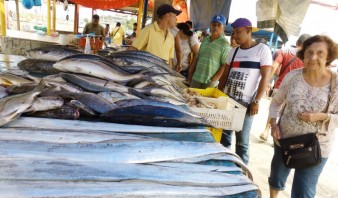 Hasta 400 bolívares cuesta un kilo de sardina en Puerto La Cruz
