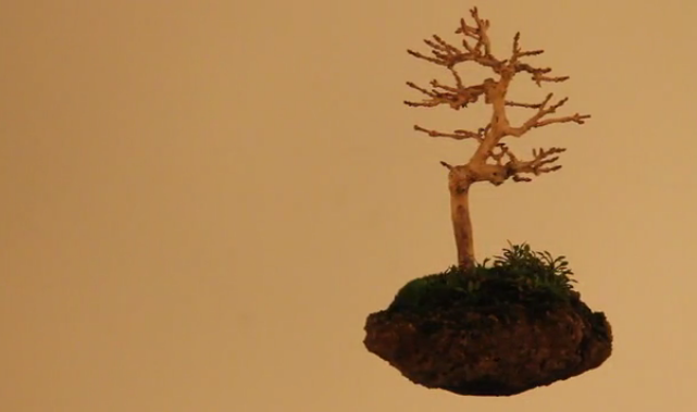 Como si fuera magia… Crean los bonsáis flotantes
