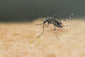 Detectan más de 200 casos de síndrome neurológico vinculado con el zika en el país