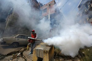 Ministra de Salud admitió que hay 4.700 casos sospechosos de zika