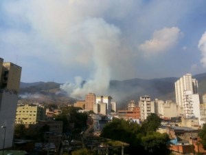 Incendio forestal afecta un sector del Parque Nacional El Ávila (Fotos)