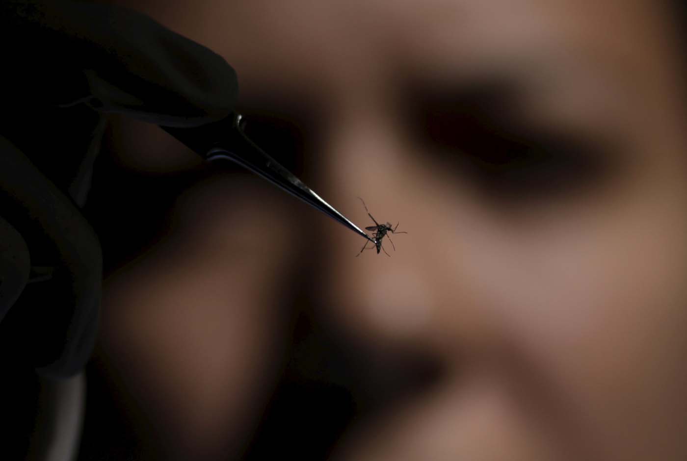 El miedo a microcefalia por Zika reabre debate sobre aborto en Latinoamérica