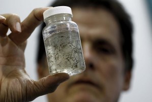 Raúl Castro moviliza 9.000 militares para combatir al mosquito del zika