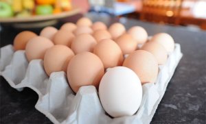 Piden que el precio del cartón de huevos supere los 2 mil bolívares