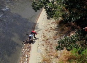 Hallan cadáver de joven en el río Guaire a la altura de Plaza Venezuela