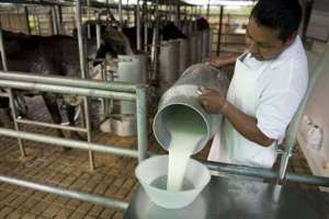 Uruguay anunciará en 48 horas ayudas al sector lácteo por deuda con Venezuela