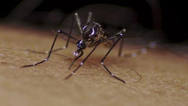 El Zika en expansiónl