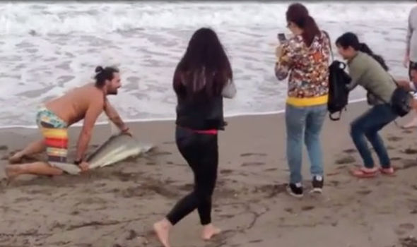 ¿WTF? Una “selfie” con un tiburón le costó 6.000 dólares y cuatro puntos en sus dedos