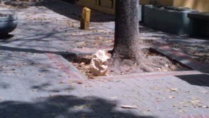 Presunto artefacto explosivo fue hallado en la Plaza Morelos (FOTOS)