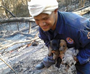 El admirable rescate de bomberos y PC Chacao durante incendio en El Ávila (FOTOS)