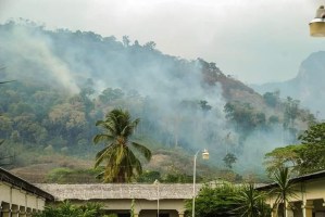 El fuego sigue devorando la Sierra de Perijá: No respiramos más que humo