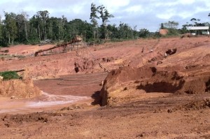 Denuncian “ecocidio por oro” nuevas concesiones mineras