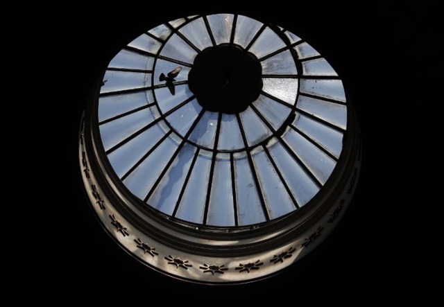 A dove flies under the dome at the top of the Rotunda over the Tomb of Christ, where according to Christian belief the body of Jesus was laid after his death, inside the Church of the Holy Sepulchre in the Jerusalem's Old City, on March 23, 2016. The Churches of the Holy Land announced they will begin the restoration of the seriously dilapitated Tomb of Christ, in the Church of the Holy Sepulchre in Jerusalem in a few weeks. / AFP / THOMAS COEX