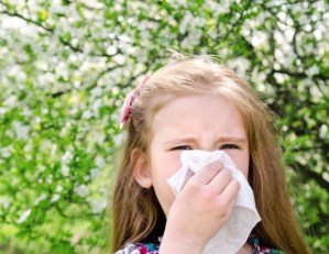 Cambio climático aumenta probabilidades de contraer alergias