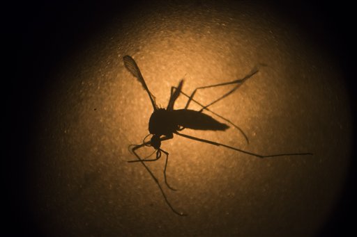 Cuba registra 29 casos importados del virus del Zika