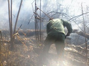 Incendios destruyeron más de 600 hectáreas del Cerro María Lionza en Yaracuy