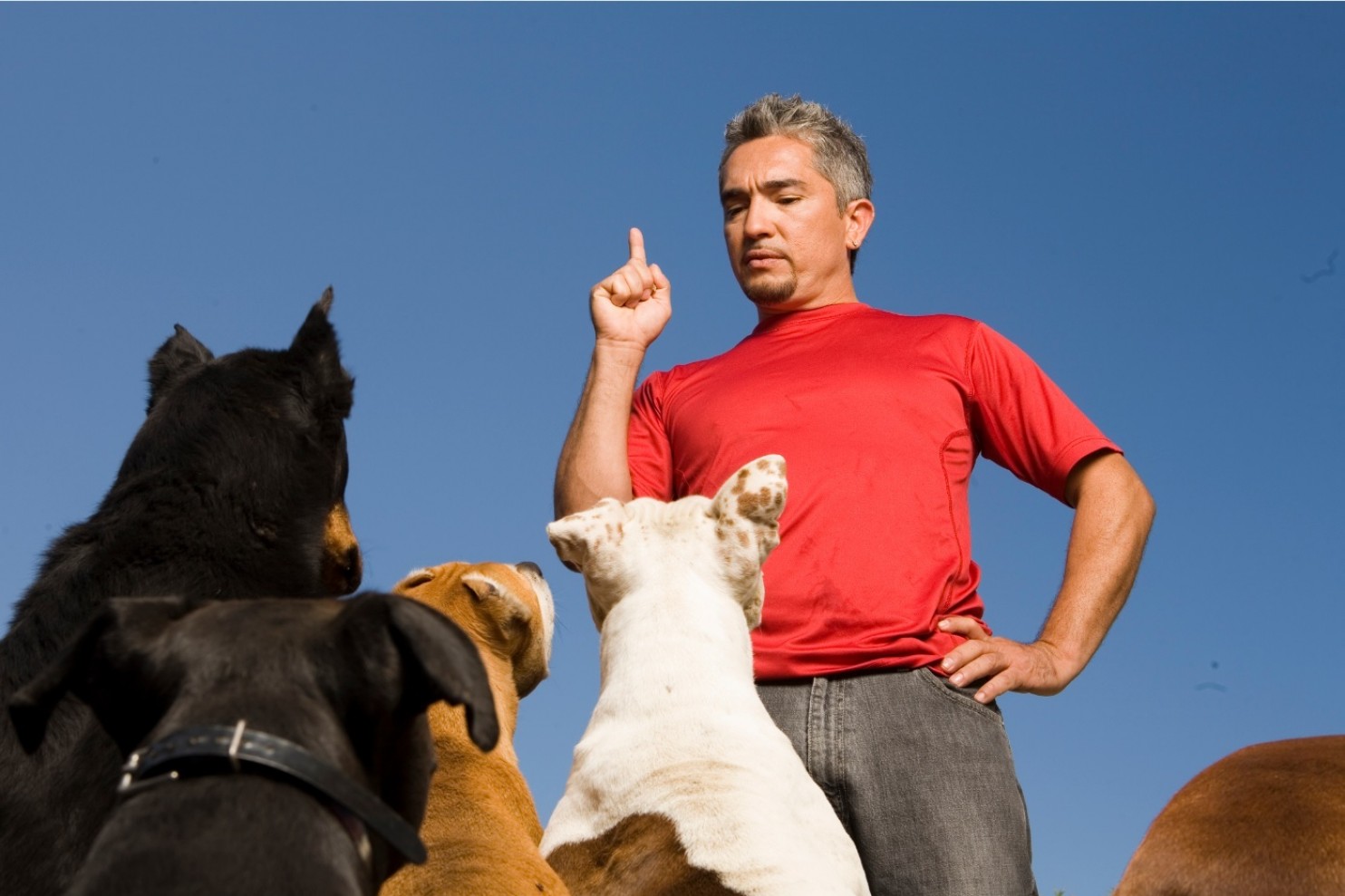 El “encantador de perros” César Millán no afrontará cargos de crueldad animal