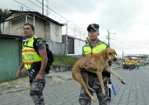 Policías rescatan a un perro tras el sismo que afectó a la costa del Pacífico ecuatoriano (Foto)