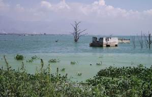 Lago de Valencia pierde 5 centímetros al mes por racionamiento de agua