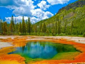 Turistas están “matando” al famoso Parque Yellowstone
