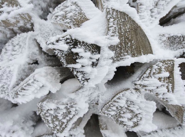 Varios leños de madera cubiertos por carámbanos y nieve cerca de Hofsgrund, Alemania, hoy, 27 de abril de 2016. Algunas zonas de Alemania atraviesan fuertes tormentas de nieve estos días. EFE/Patrick Seeger