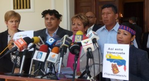Diputados de Amazonas exigen al TSJ derogar el decreto que los deja sin representación en la AN