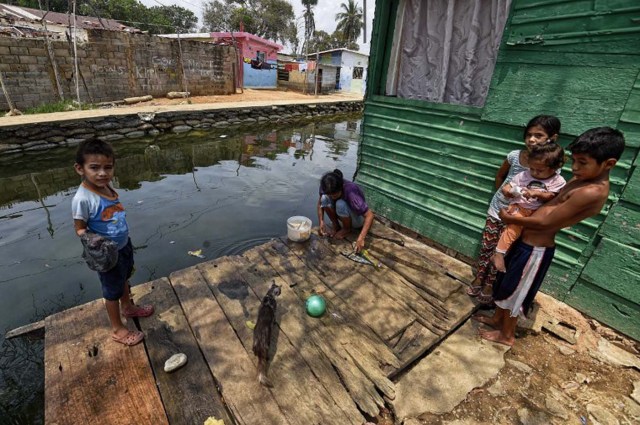 A woman cleans fish at Palafitos de Santa Rosa de Agua neighborhood, on the banks of Maracaibo bay in Maracaibo city on April 28, 2016. The political tension, shortages and now enforced electricity blackouts that started this week have has raised fears of unrest in the South American oil state. Looting and clashes were reported in various towns including the country's second-biggest city Maracaibo after daily power cut-offs were formally launched on Monday. / AFP PHOTO / JUAN BARRETO