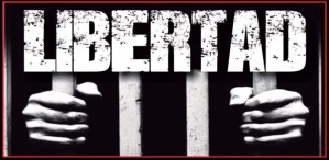 LIBERTAD: Tributo a los presos políticos venezolanos (VIDEO)
