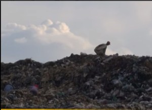 Esta es la realidad del vertedero de La Guásima en Carabobo (video)