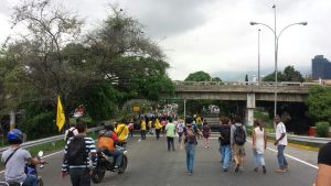 Los peculiares “caminos verdes” que abrieron los opositores para llegar al CNE (Videos)
