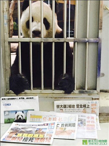 Zoológico de Taiwán publica prueba de vida de uno de sus pandas