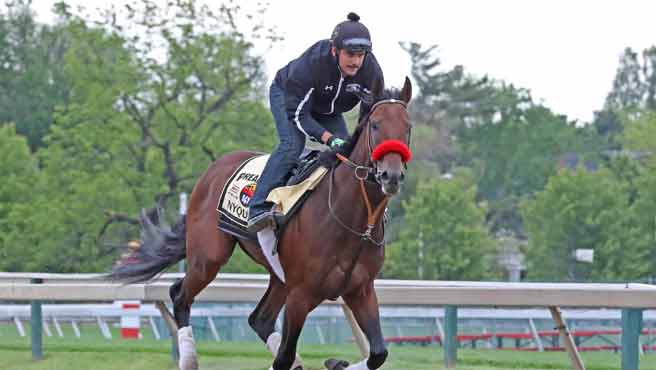Nyquist listo para el Preakness Stakes