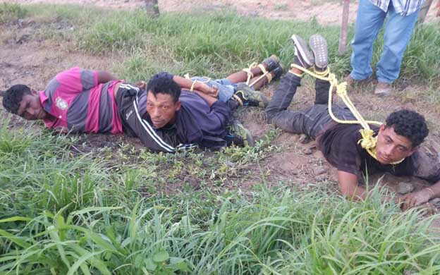 Capturan a tres hombres en Zulia que arreaban 200 reses a Colombia