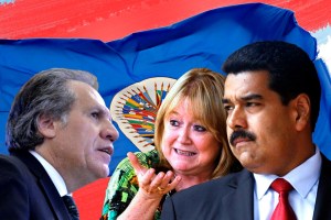 Vértice: La batalla interna detrás de la Carta Democrática contra Venezuela