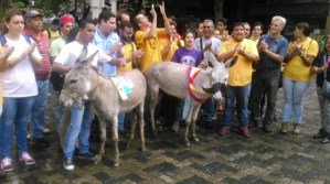 “Revoca al burro”, la protesta que causó revuelo en Sabana Grande (Fotos+El que se pica…)