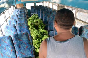 Aprehendido “La Fresa” en robo frustrado en Aragua