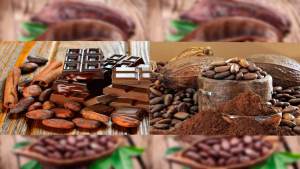 Cavenit organiza “Tour de Catas de Chocolates Venezolanos y Licores Italianos” en apoyo a producción del cacao nacional