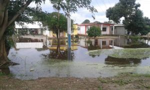 Julio Montoya: Si no hacen el mantenimiento en ríos de Guasdualito, habrá una inundación masiva