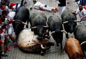 Los toros, una tradición cada vez más en entredicho en España