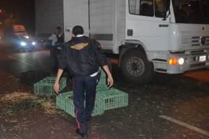 Saquearon otro camión de pollos vivos en Valencia
