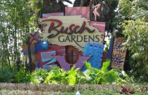 Busch Gardens Tampa Bay inaugura acuario para concientizar sobre daños al ecosistema
