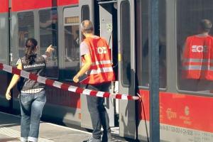 Tres heridos en un ataque con cuchillo en un tren austríaco (Fotos)