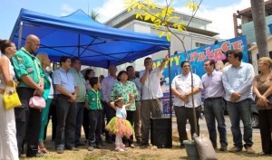El Concejo Municipal de Baruta apoya la siembra del Araguaney