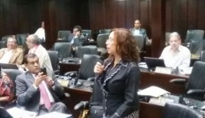 Tanía Díaz dice que AN “discute leyes a media noche” sin consultar a involucrados
