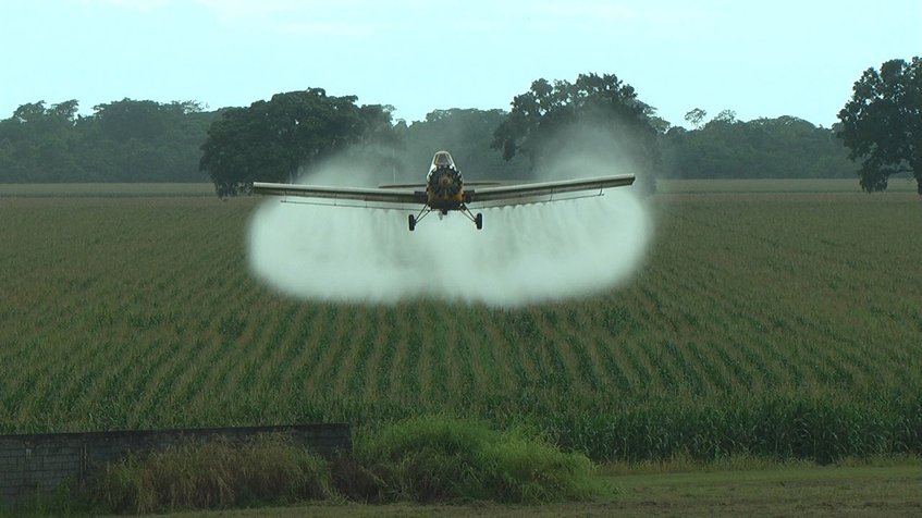 Prohibición de vuelos afectará cultivos de cereales