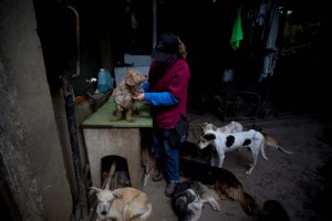 Tachirenses buscan en veterinarias las medicinas que no hay en farmacias
