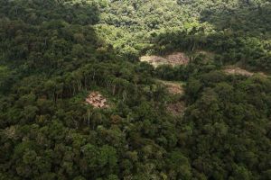 En peligro Sierra de Imataca ante exploración del arco minero del Orinoco