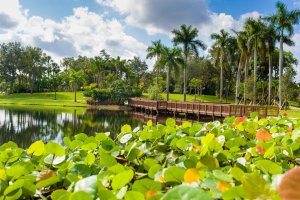 Westonzuela: El paraíso de los venezolanos en Florida, entre los 10 mejores lugares de EEUU