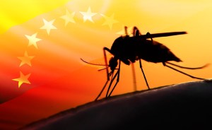 Advierten a entes internacionales sobre crisis de malaria en Venezuela (Carta)